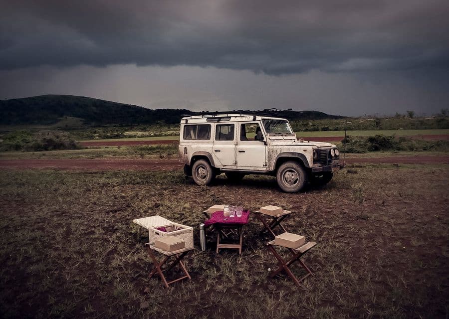 Bush Picnic