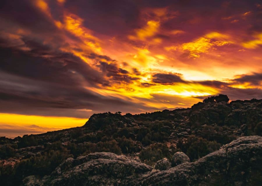 Kilimanjaro Sunrise