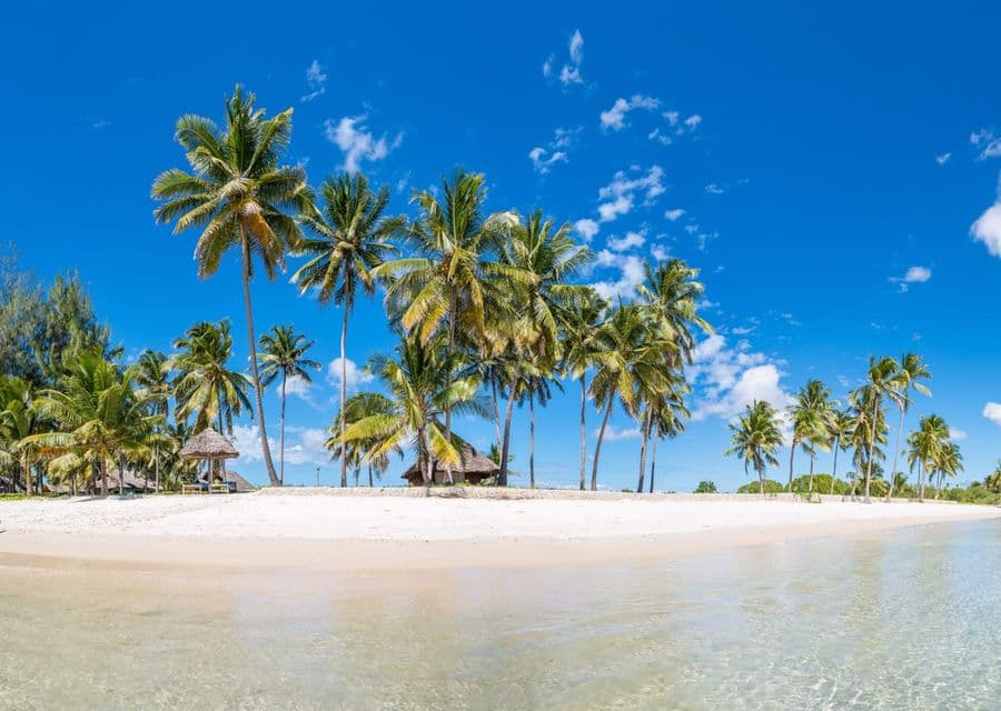 Mafia Beach