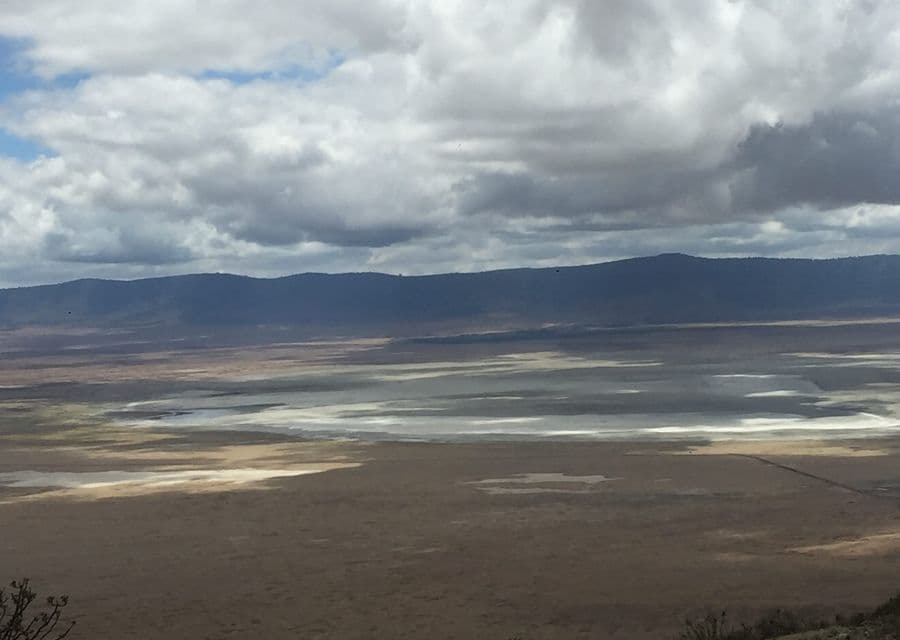 Ngorongoro Crater Floor