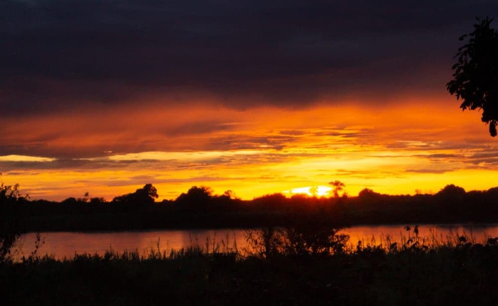 Selous River Sunset