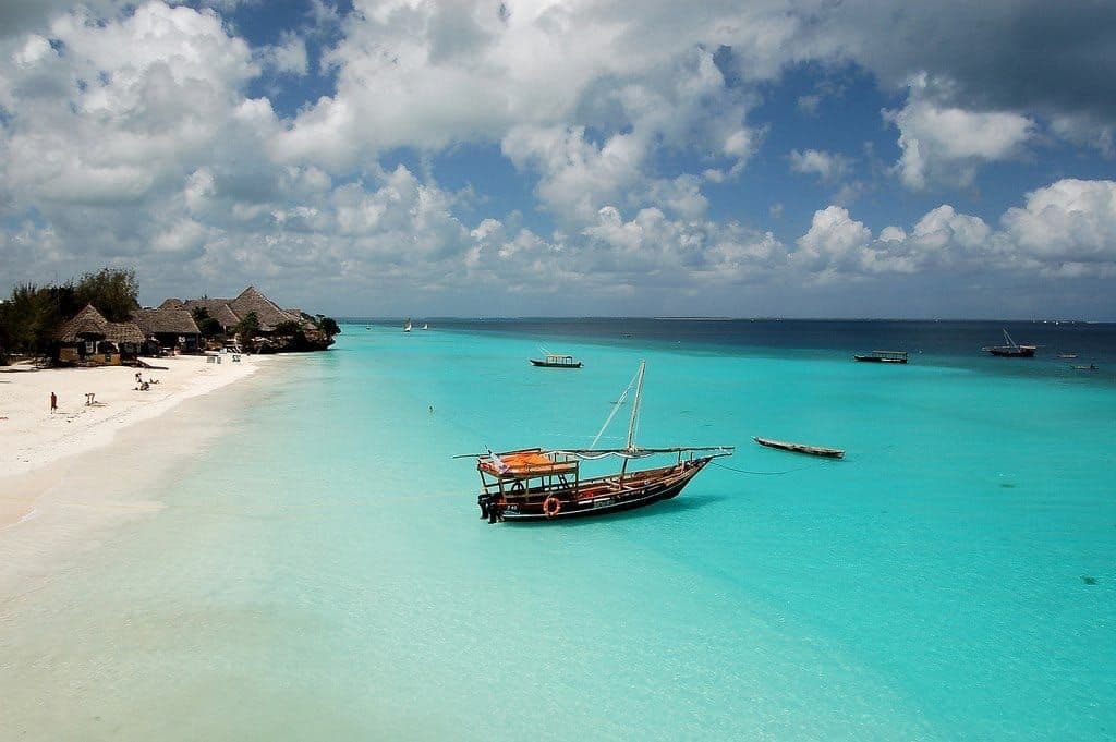 Zanzibar Beach Palms