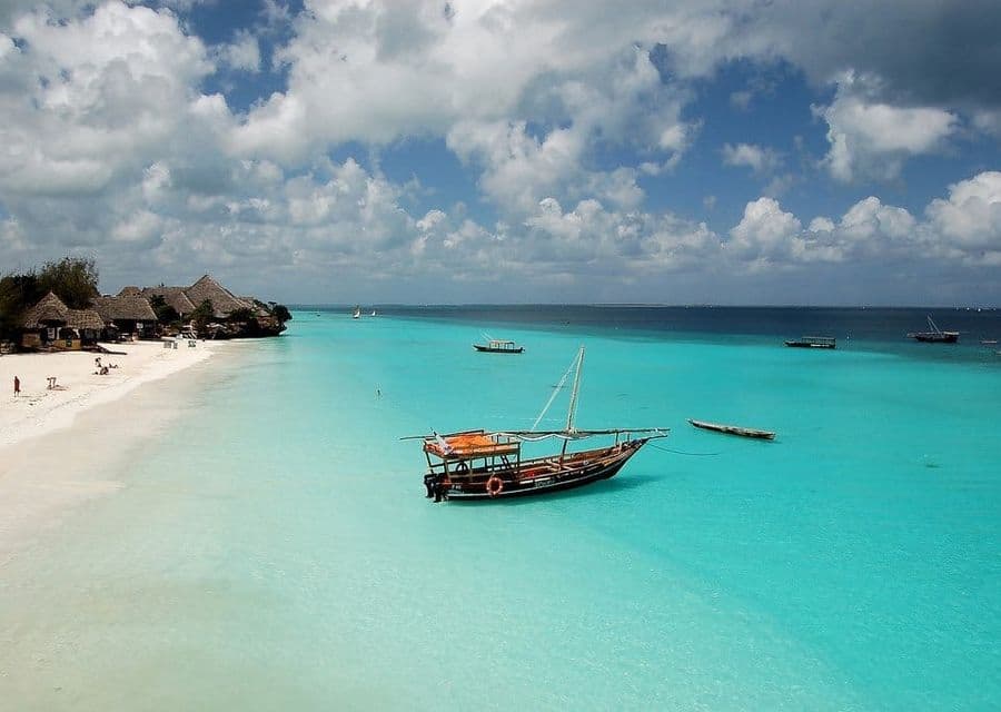 Zanzibar Beach Palms