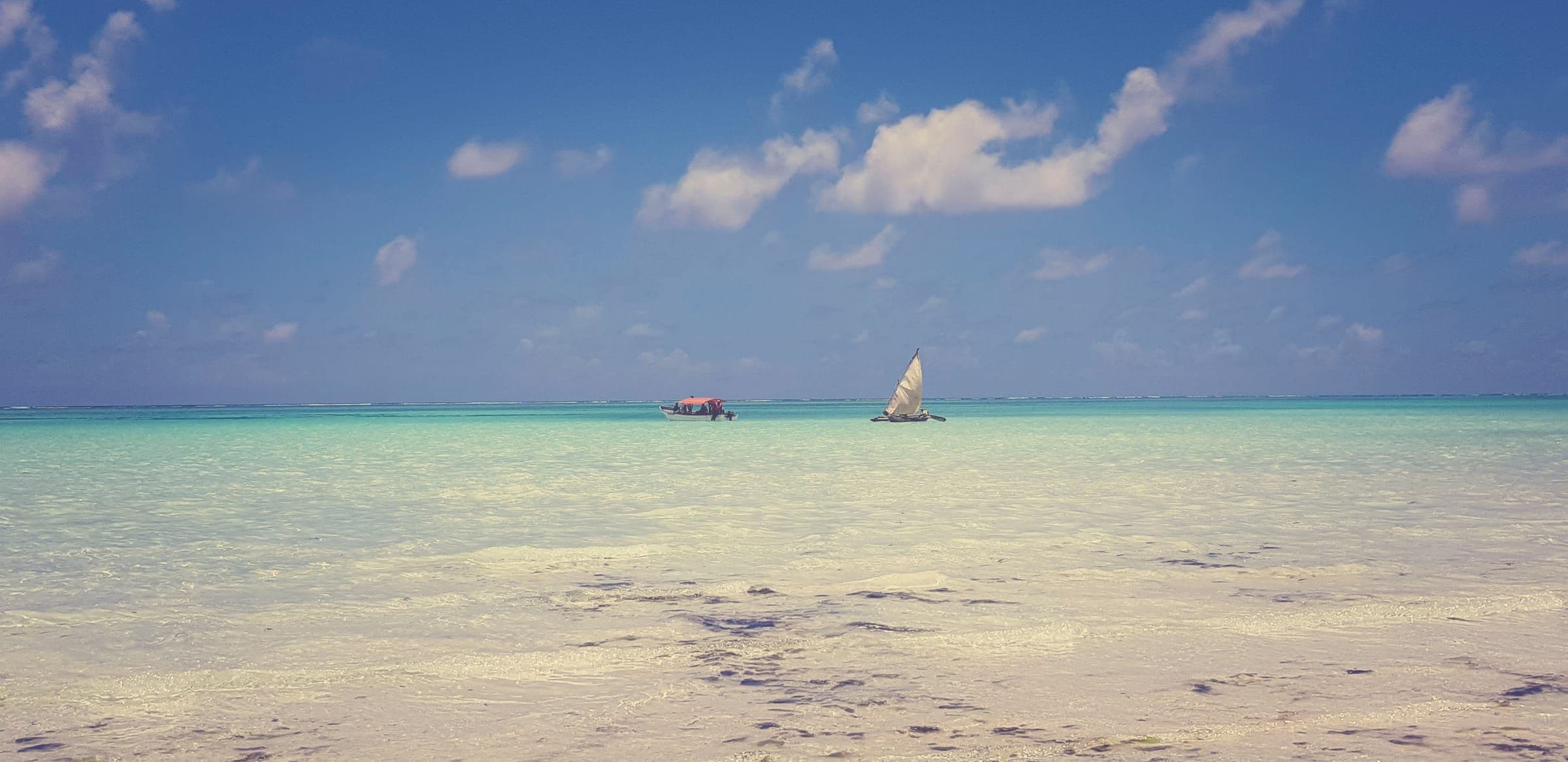 Zanzibar Turquoise