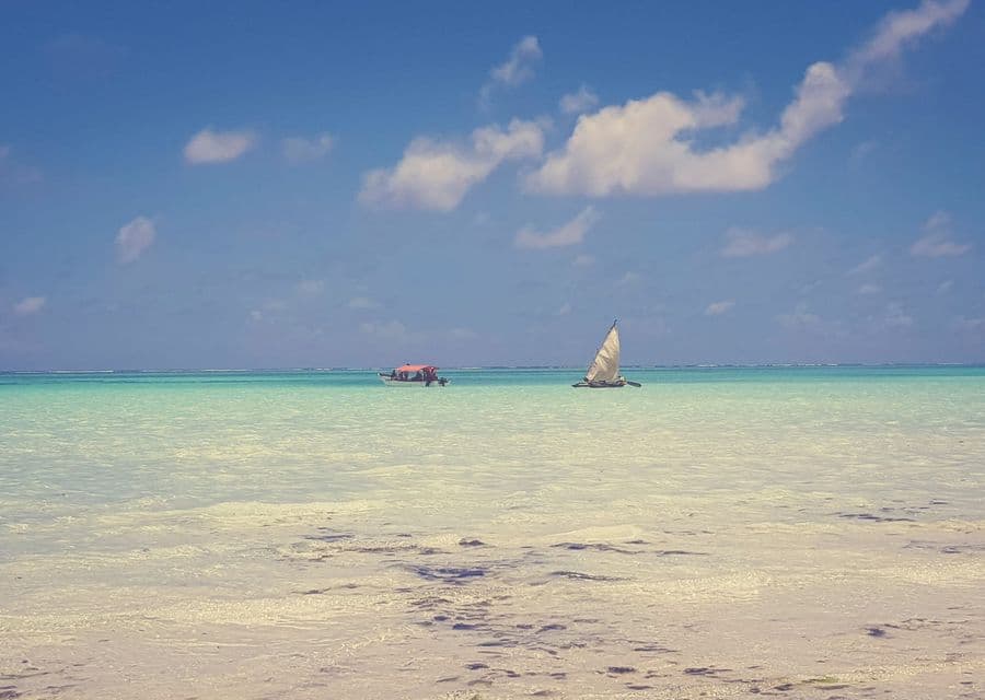 Zanzibar Turquoise